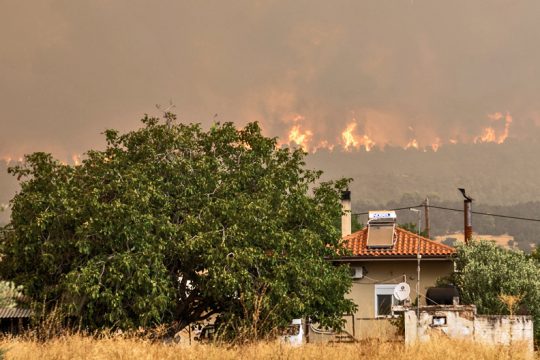 Η επόμενη ημέρα των καμένων της Εύβοιας