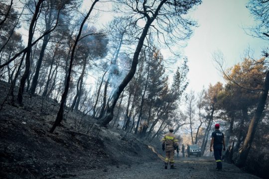 Μαύρο τοπίο στη θέση του πυκνού δάσους της Εύβοιας