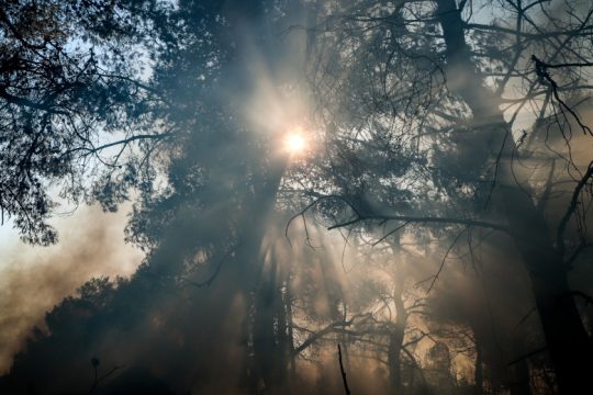 Υψηλός κίνδυνος εκδήλωσης πυρκαγιάς και σήμερα