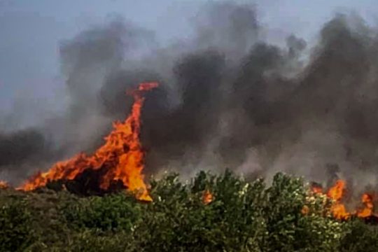 Πυρκαγιές σε εξέλιξη στη δυτική Πελοπόννησο