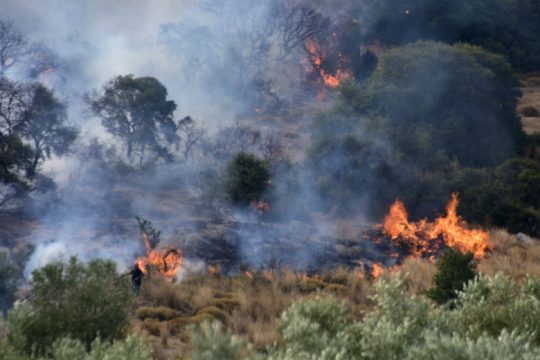 Πύρινα μέτωπα σε Βοιωτία και Φθιώτιδα