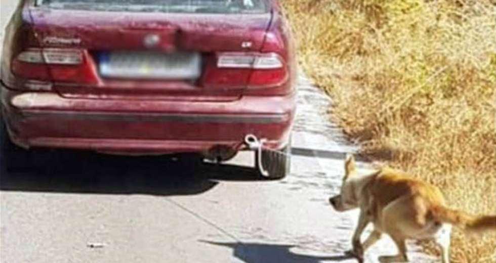 Ρέθυμνο: Συνελήφθη ο οδηγός που έσερνε σκυλί με το αμάξι του