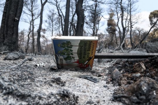 Κρανίου τόπος
