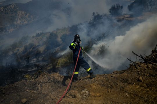 Πυρκαγιά στη Νεμέα