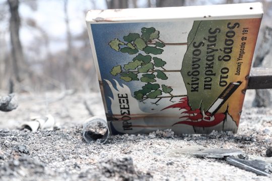 «Είμαστε η φύση που υπερασπίζεται τον εαυτό της»