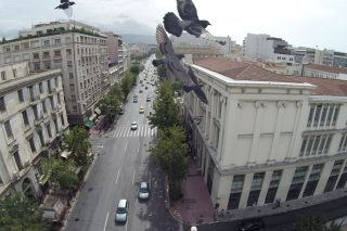 Το περιστέρι