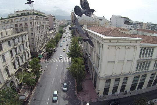 Το περιστέρι