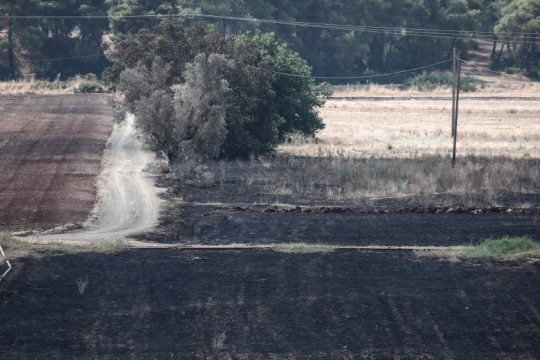 Ο χάρτης της καταστροφής από την πυρκαγιά στην Εύβοια