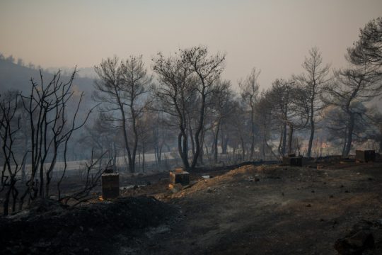 Οι αρμόδιοι πολιτικοί για τις εξελίξεις στο πύρινο μέτωπο