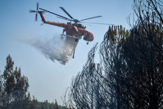 Υποψίες για εμπρησμό πίσω από πυρκαγιά στη Φθιώτιδα