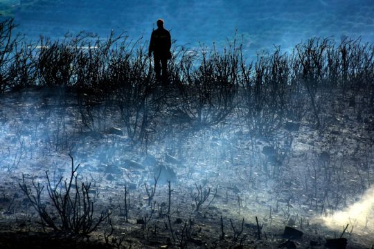 18 δασικές πυρκαγιές σε μία ημέρα