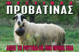 Φεστιβάλ Προβατίνας!