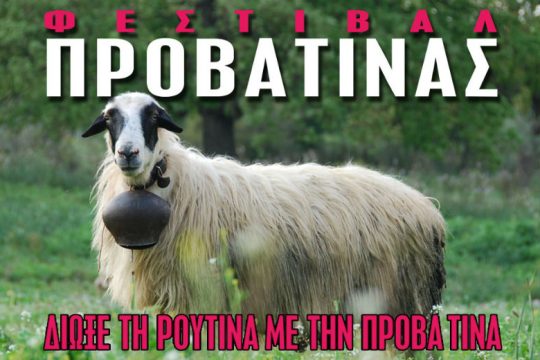 Φεστιβάλ Προβατίνας!