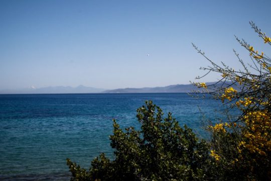 Μία τραυματίας από σύγκρουση ιστιοφόρων στην Αίγινα