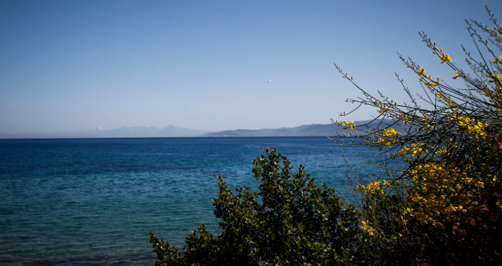 Μία τραυματίας από σύγκρουση ιστιοφόρων στην Αίγινα