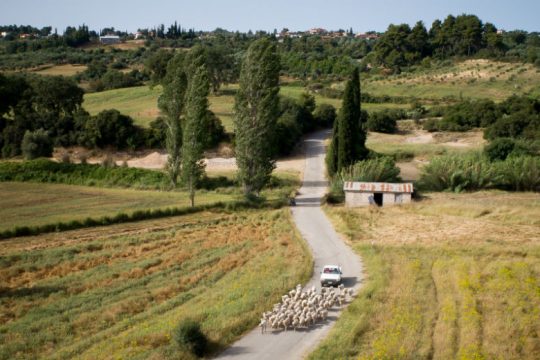 Πληρωμή αποζημιώσεων ύψους 5,5 εκατ. ευρώ από τον ΕΛΓΑ