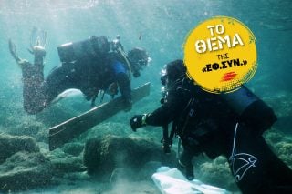 Στομάχια γεμάτα πλαστικά για τα κήτη της Μεσογείου