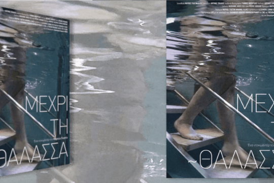 Η αναπηρία ως πολιτικό ζήτημα