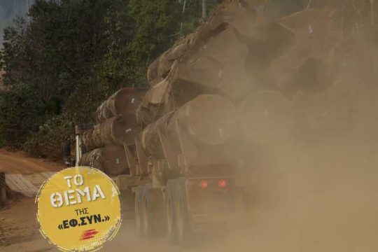 Ο άγνωστος, καταδικασμένος πόλεμος των «Αληθινών Ανθρώπων»
