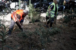 Επιχείρηση… γλάστρα και κλομπ