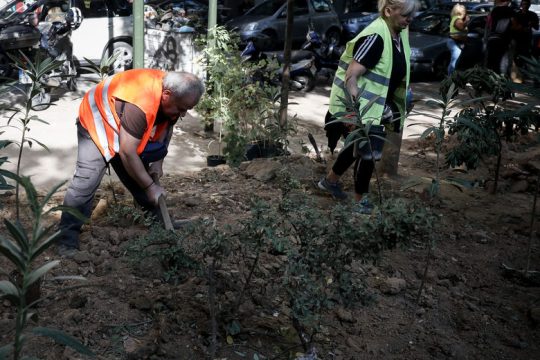 Επιχείρηση… γλάστρα και κλομπ