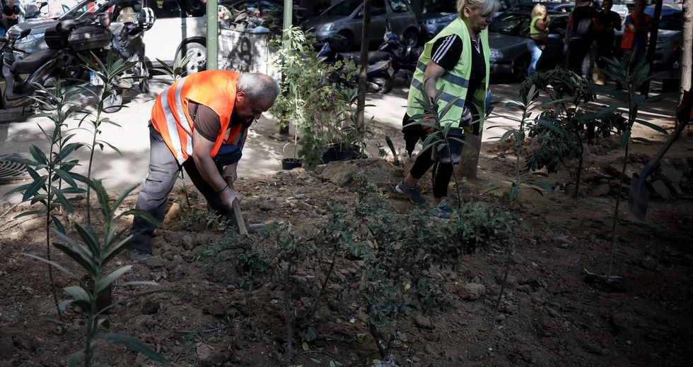 Επιχείρηση… γλάστρα και κλομπ