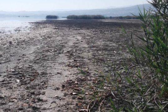 Εκατομμύρια ευρώ «βούλιαξαν» στα νερά της Κορώνειας