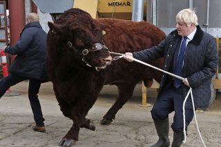 Οδηγός επιβίωσης σε ένα άτακτο Brexit