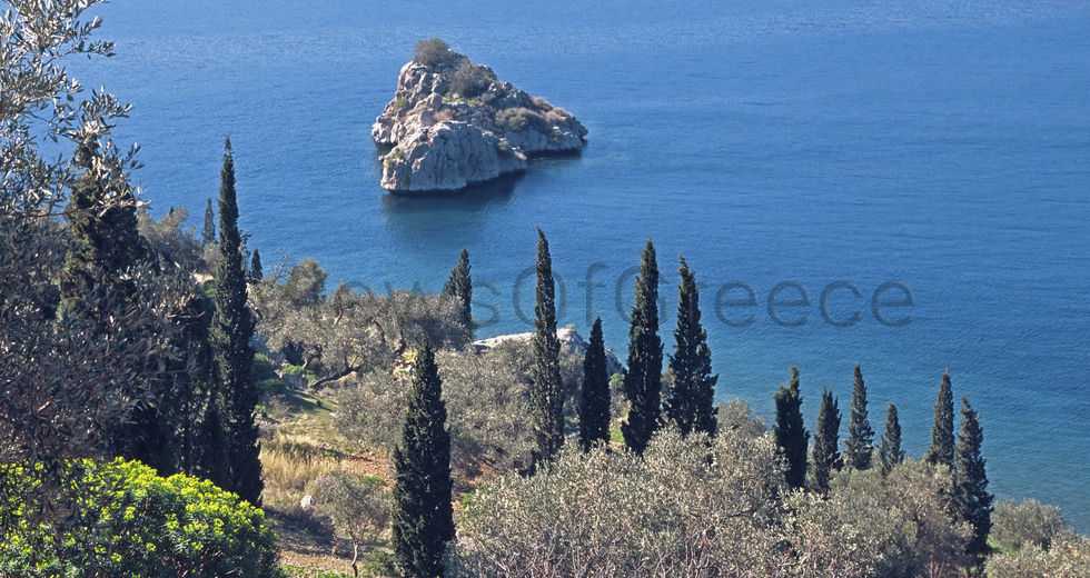 Από τα ακρογιάλια στα έλατα