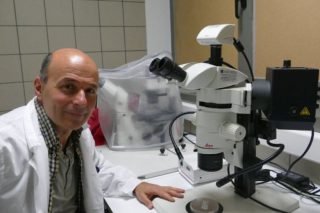 Απομονώθηκε ο παράγοντας αρρενοποίησης στις καταστροφικές μύγες των φρούτων