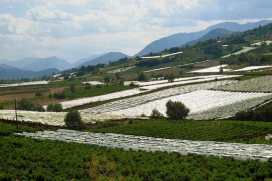 Τι προσθέσαμε στον αγροτικό χώρο