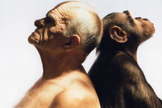 Η νοημοσύνη των άλλων (ζώων)