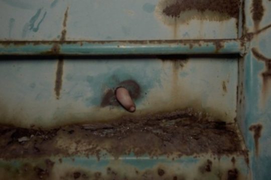 Οι μεγάλοι νικητές στο 42ο Φεστιβάλ Ταινιών Μικρού Μήκους Δράμας