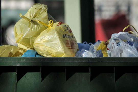 «Όχι ζωντανά ζωάκια στους κάδους απορριμμάτων»