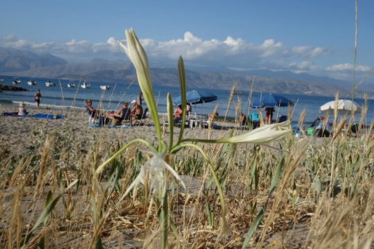 Υψηλές για την εποχή θερμοκρασίες