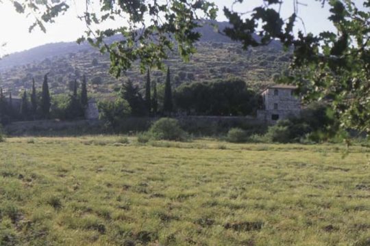 Στο Μετόχι του αγίου Ιγνατίου