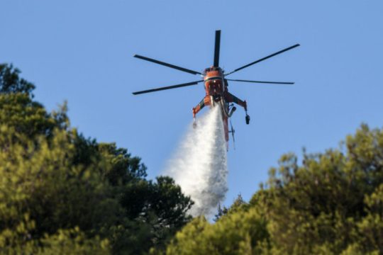 Πυρκαγιά σε δασική έκταση στα Καλάβρυτα