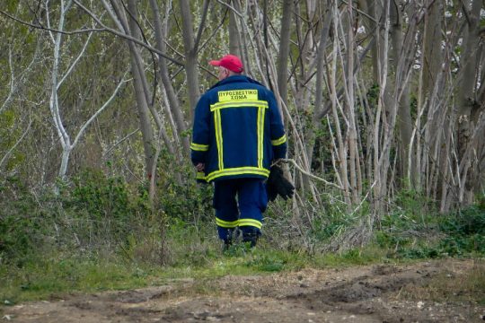 Συλλήψεις για εμπρησμούς σε Ρόδο και Ηράκλειο