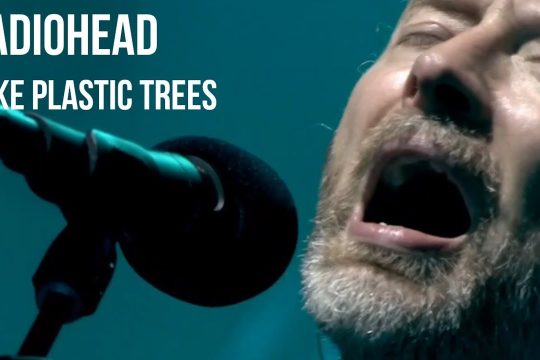 Fake plastic trees