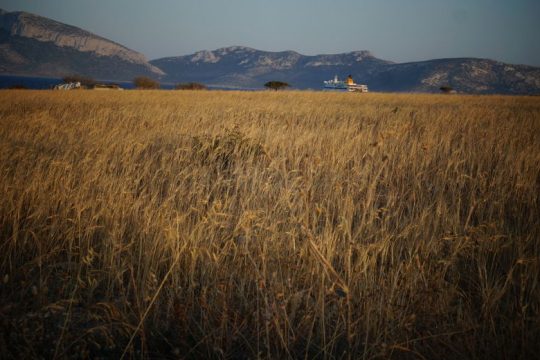 Φθινοπωρινό πεζογραφικό ψηφιδωτό