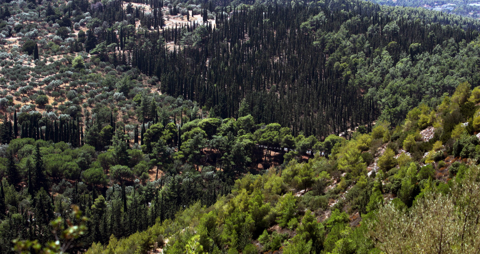 «Ασπίδα» στον Υμηττό μέχρι να εκδοθεί το προεδρικό διάταγμα