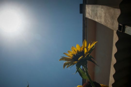 Καλοκαιρινός ο καιρός