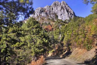 Φθινοπωρινή, άγρια ομορφιά