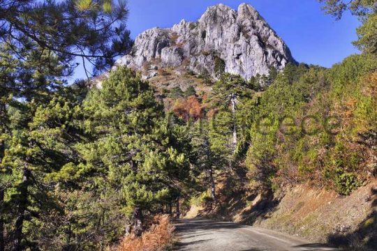 Φθινοπωρινή, άγρια ομορφιά