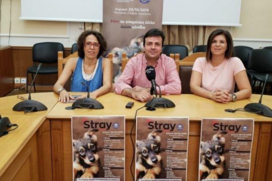 «Stray Action»: Δράσεις για τα αδέσποτα στο Ηράκλειο
