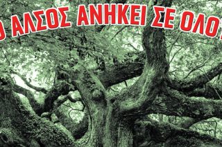 Γιορτή περιβαλλοντικής ευαισθητοποίησης στο Άλσος Αγ. Φιλίππου στη Νίκαια