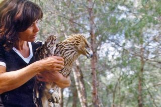 «Κανείς δεν είναι άμοιρος ευθυνών για την καταστροφή και τον πόνο στη φύση»