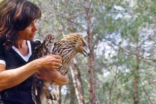 «Κανείς δεν είναι άμοιρος ευθυνών για την καταστροφή και τον πόνο στη φύση»