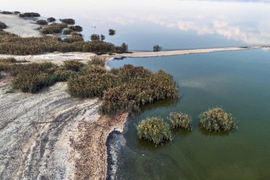 Η Κορώνεια πεθαίνει, οι επιτροπές… ζουν και βασιλεύουν