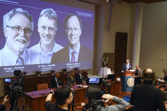 Νόμπελ Ιατρικής σε επιστήμονες που «άνοιξαν δρόμο για θεραπεία αναιμίας και καρκίνων»